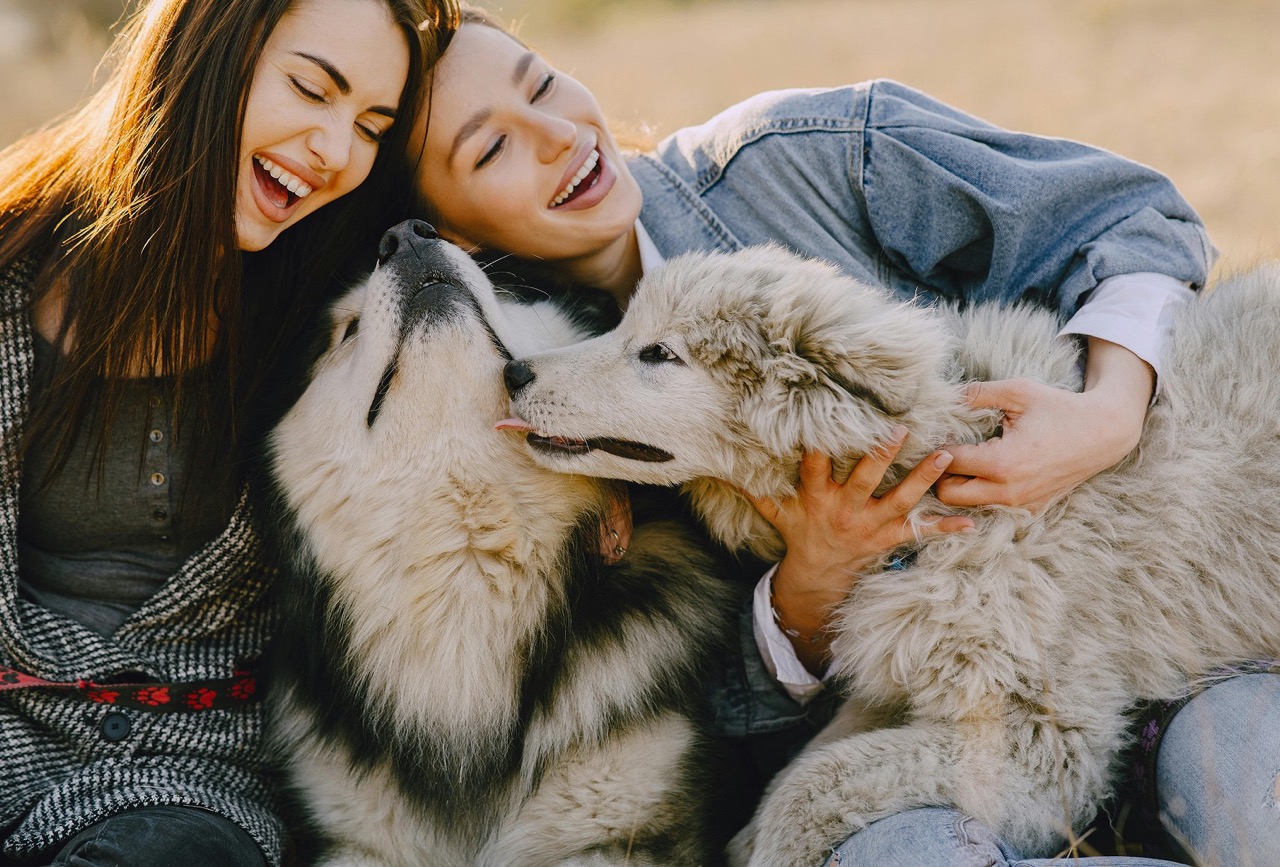 Twee vrouwen lachen met hun honden