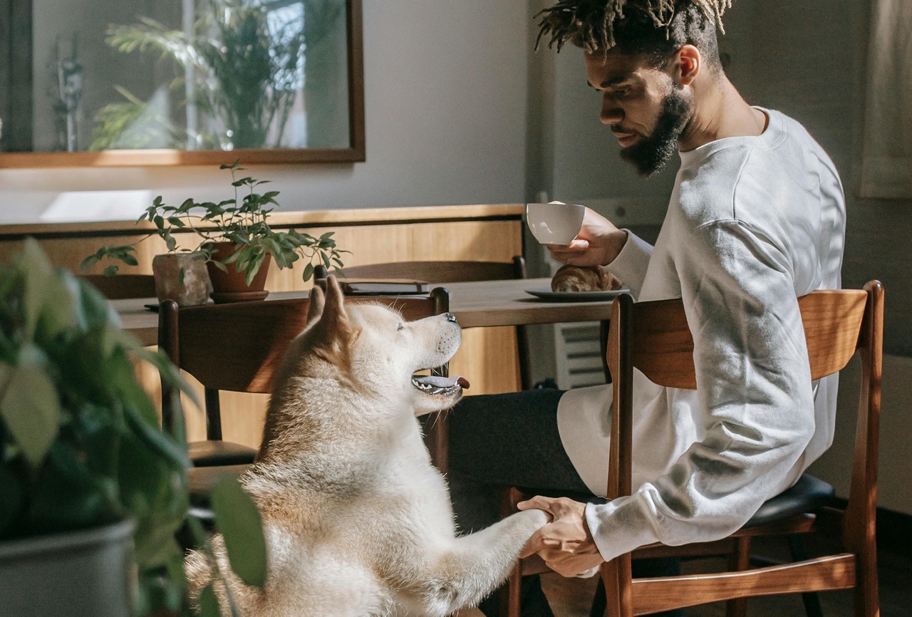 Hondeneigenaar geniet thuis met zijn hond